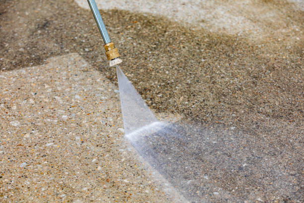 Best Soft Washing  in South Patrick Shores, FL